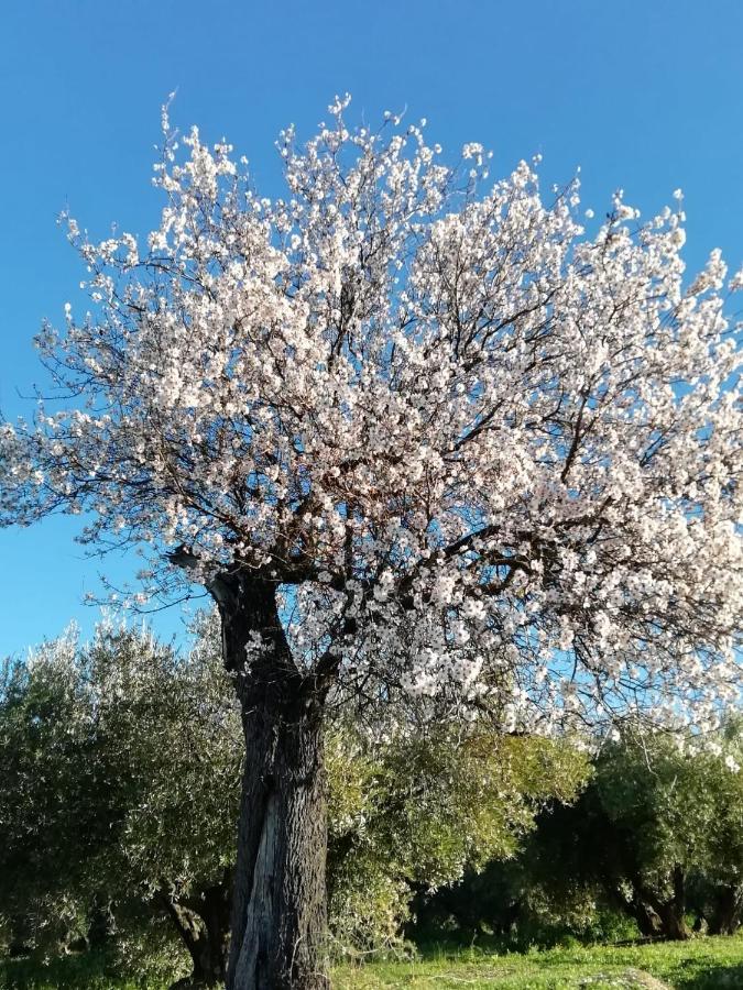 La Casona De Valenzuelaヴィラ エクステリア 写真